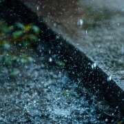 ヒメ日記 2026/04/23 13:31 投稿 水嶋 HERMINE-エルミネ-