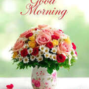 ヒメ日記 2026/04/24 08:21 投稿 水嶋 HERMINE-エルミネ-