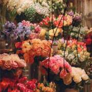 ヒメ日記 2026/04/25 20:15 投稿 水嶋 HERMINE-エルミネ-