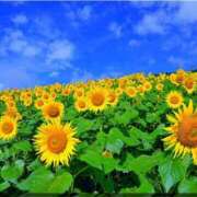 ヒメ日記 2026/08/20 11:04 投稿 水嶋 HERMINE-エルミネ-