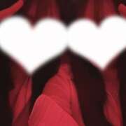 ヒメ日記 2026/04/22 19:06 投稿 りの 神田はっち