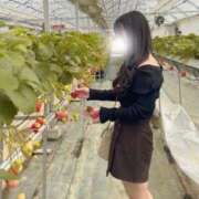 ヒメ日記 2026/04/06 16:03 投稿 こはる 合法ロリと秘密の撮影 L＆Jブラザーズ