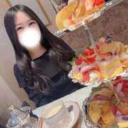 ヒメ日記 2026/04/11 15:03 投稿 こはる 合法ロリと秘密の撮影 L＆Jブラザーズ