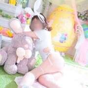 ひおり 初めまして🐰 恋愛マット同好会