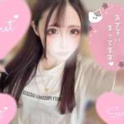 ヒメ日記 2026/04/09 08:30 投稿 つむぎ ZERO