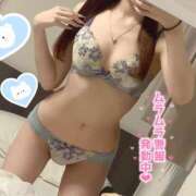 ヒメ日記 2026/06/05 09:45 投稿 つむぎ ZERO