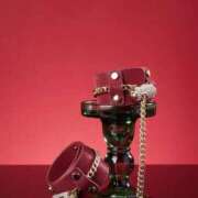 ヒメ日記 2026/04/13 07:02 投稿 リマ コンプレックス(京都)