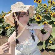 ヒメ日記 2026/04/11 00:02 投稿 ふうり DOLCE