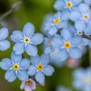 ヒメ日記 2026/04/19 07:55 投稿 ののは 待ちナビ