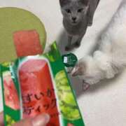 こはる【S級ルックス小悪魔】 🍉 STELLA TOKYO－ステラトウキョウ－