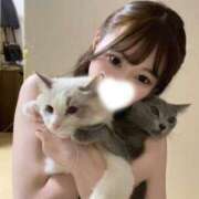 ヒメ日記 2026/09/11 23:28 投稿 こはる【S級ルックス小悪魔】 STELLA TOKYO－ステラトウキョウ－