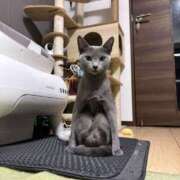 ヒメ日記 2026/09/14 23:08 投稿 こはる【S級ルックス小悪魔】 STELLA TOKYO－ステラトウキョウ－