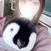 かぐや はじめまして🥰 E+アイドルスクール