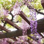 ヒメ日記 2026/04/23 18:19 投稿 ちさと 完熟ばなな 谷九店