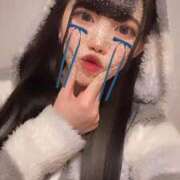 なずな 2日目‼️ アネックスジャパン