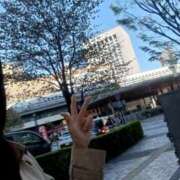 ヒメ日記 2026/04/08 14:20 投稿 せいこ GODZUMA（ゴッヅマ）
