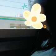 ヒメ日記 2026/05/30 11:56 投稿 せいこ GODZUMA（ゴッヅマ）