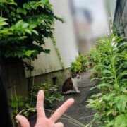 ヒメ日記 2026/06/11 14:23 投稿 せいこ GODZUMA（ゴッヅマ）