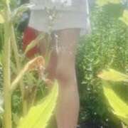 ヒメ日記 2026/06/23 01:14 投稿 せいこ GODZUMA（ゴッヅマ）