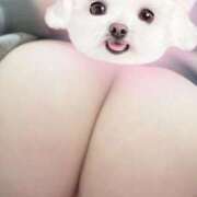 ヒメ日記 2026/04/04 14:40 投稿 りりあ ふわふわコレクション川越店