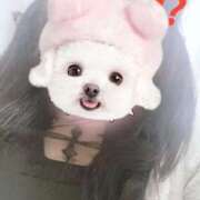 ヒメ日記 2026/04/04 17:40 投稿 りりあ ふわふわコレクション川越店