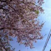 ヒメ日記 2026/04/17 13:08 投稿 ひめ キミの乳首が好き！！大阪店