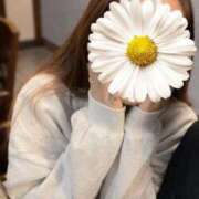 ヒメ日記 2026/04/09 09:20 投稿 クミ【新人】【宮崎っ子】 Alice