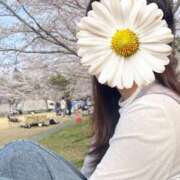 ヒメ日記 2026/04/09 12:20 投稿 クミ【新人】【宮崎っ子】 Alice