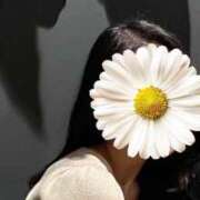 ヒメ日記 2026/04/09 17:20 投稿 クミ【新人】【宮崎っ子】 Alice