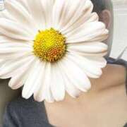 ヒメ日記 2026/04/09 22:20 投稿 クミ【新人】【宮崎っ子】 Alice