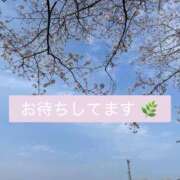 ヒメ日記 2026/04/10 14:50 投稿 クミ【新人】【宮崎っ子】 Alice