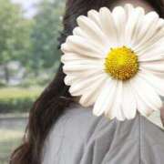 ヒメ日記 2026/04/12 12:50 投稿 クミ【新人】【宮崎っ子】 Alice