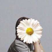 ヒメ日記 2026/04/15 12:20 投稿 クミ【新人】【宮崎っ子】 Alice