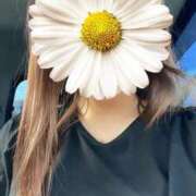 ヒメ日記 2026/04/15 22:50 投稿 クミ【新人】【宮崎っ子】 Alice