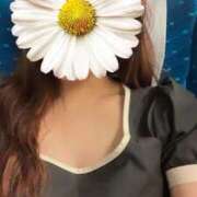 ヒメ日記 2026/04/15 23:50 投稿 クミ【新人】【宮崎っ子】 Alice