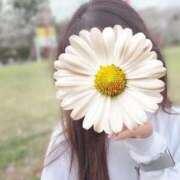 ヒメ日記 2026/04/16 12:00 投稿 クミ【新人】【宮崎っ子】 Alice