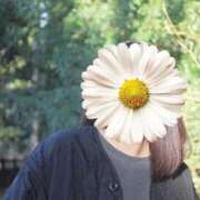 ヒメ日記 2026/04/16 21:20 投稿 クミ【新人】【宮崎っ子】 Alice