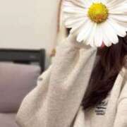 ヒメ日記 2026/04/17 21:50 投稿 クミ【新人】【宮崎っ子】 Alice