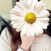 ヒメ日記 2026/04/18 13:50 投稿 クミ【新人】【宮崎っ子】 Alice