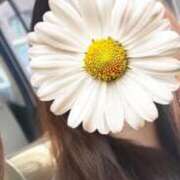 ヒメ日記 2026/04/19 11:50 投稿 クミ【新人】【宮崎っ子】 Alice