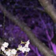 ヒメ日記 2026/04/20 12:50 投稿 クミ【新人】【宮崎っ子】 Alice