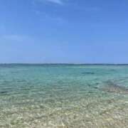 ヒメ日記 2026/04/21 12:20 投稿 クミ【新人】【宮崎っ子】 Alice