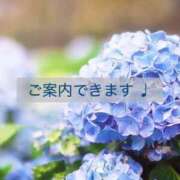 ヒメ日記 2026/08/05 12:50 投稿 クミ【新人】【宮崎っ子】 Alice