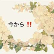 ヒメ日記 2026/08/10 14:20 投稿 クミ【新人】【宮崎っ子】 Alice