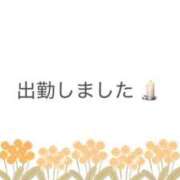ヒメ日記 2026/08/18 12:13 投稿 クミ【新人】【宮崎っ子】 Alice