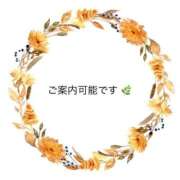 ヒメ日記 2026/08/18 12:50 投稿 クミ【新人】【宮崎っ子】 Alice