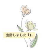 ヒメ日記 2026/08/21 12:25 投稿 クミ【新人】【宮崎っ子】 Alice