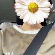 ヒメ日記 2026/08/25 21:20 投稿 クミ【新人】【宮崎っ子】 Alice