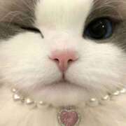 ヒメ日記 2026/04/03 13:46 投稿 Hanaka(はなか） AMATERAS(アマテラス)(福山)