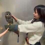 ヒメ日記 2026/04/13 20:07 投稿 あい JAPAN CLUB BUNNY LOUNGE